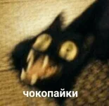 1745717814834.webp